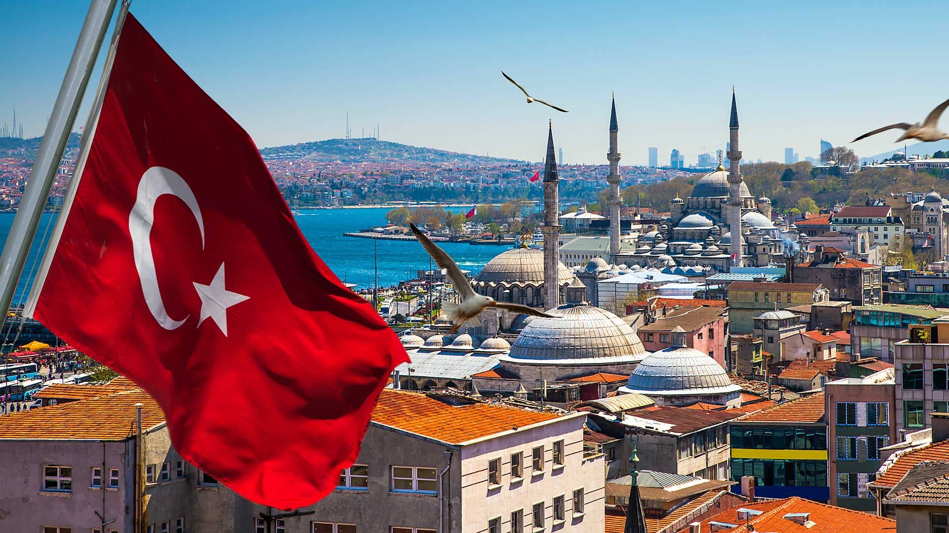 Турция и Египет не собираются чинить препятствий для туристов из РФ