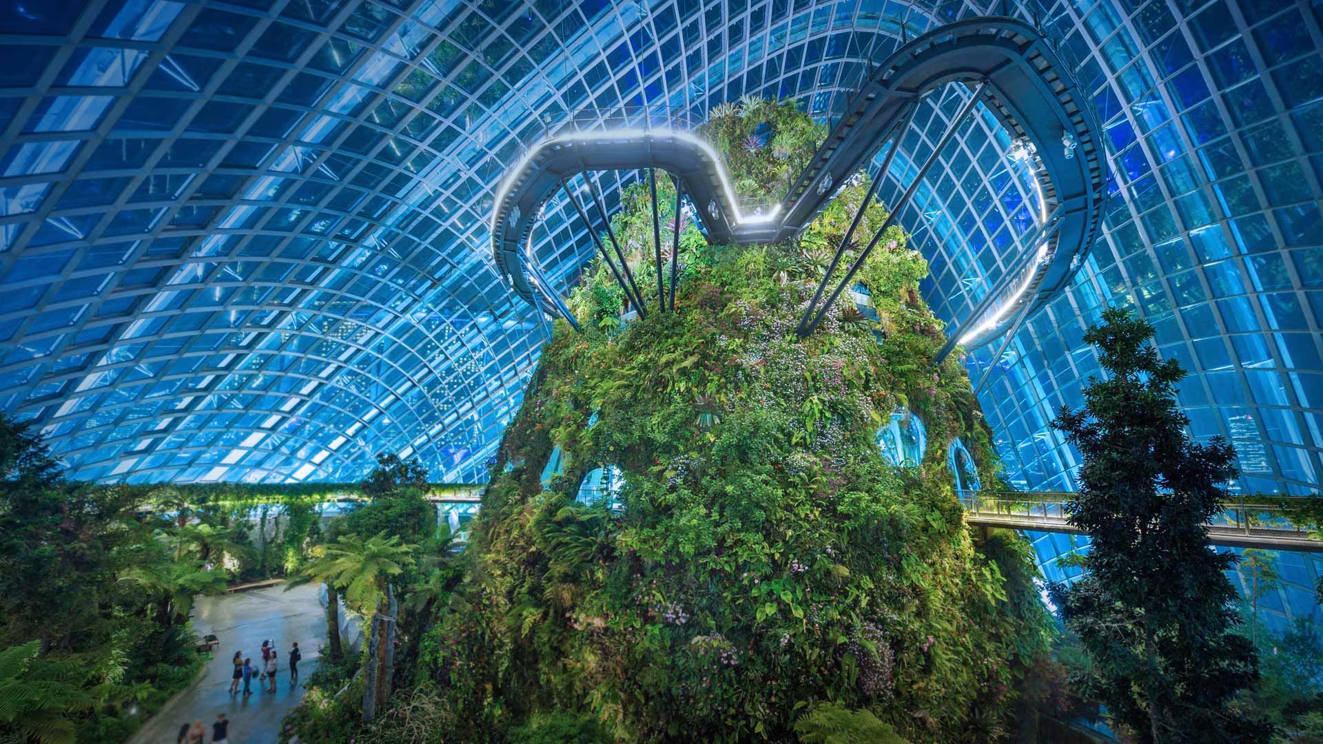 Что посмотреть в «зелёном» Сингапуре