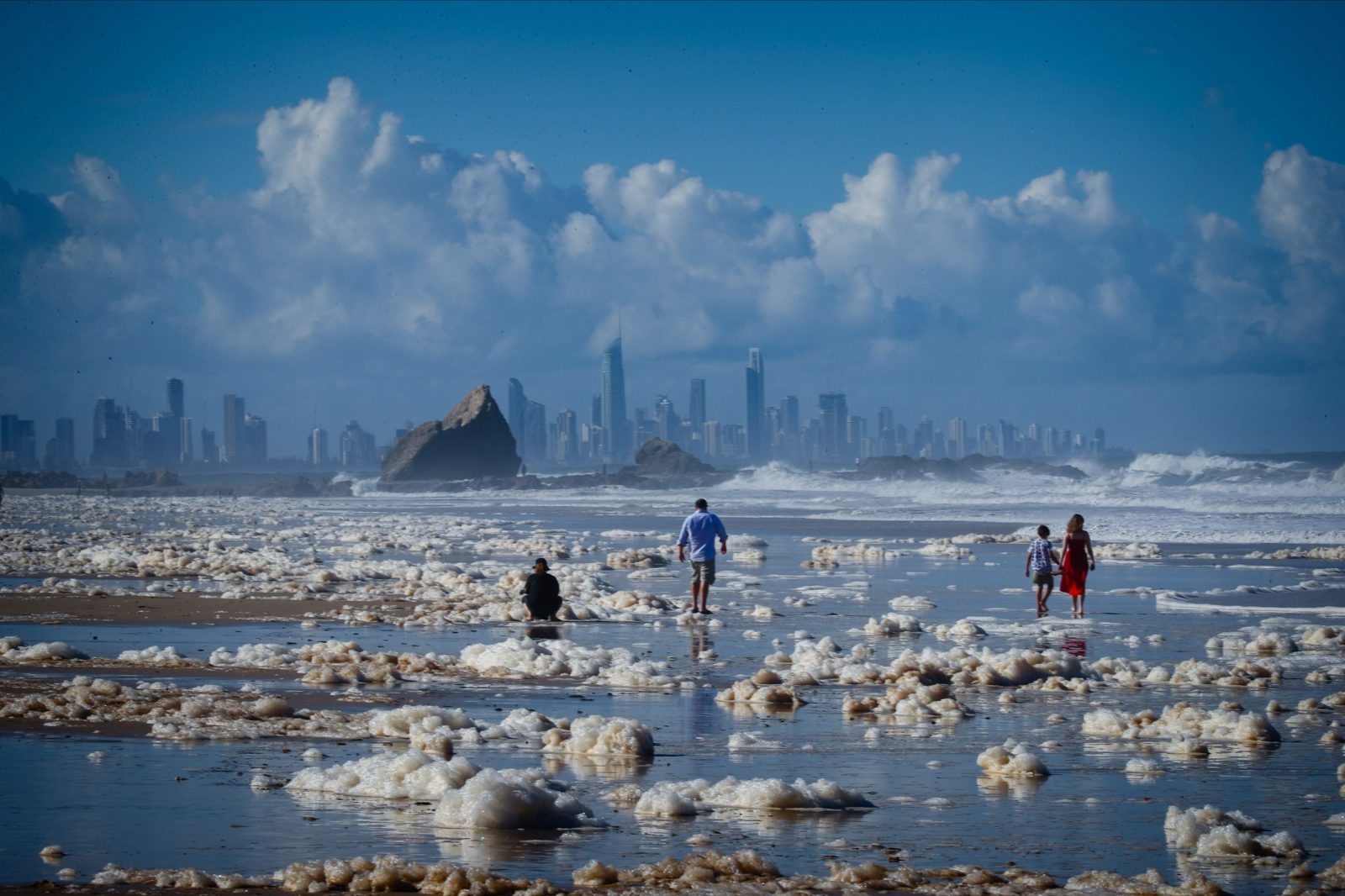 Чем опасная пена на пляжах Австралии — что она таит? |  Змеи на пляжах