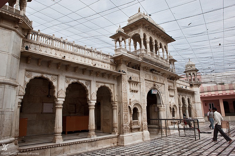 Карни-Мата: Храм Крыс в Раджастхане | Индия